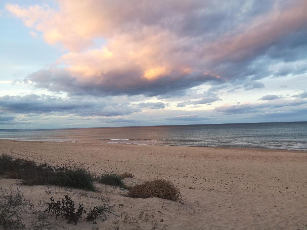 Apartamento Con Vistas Al Mar Oliva Buitenkant foto